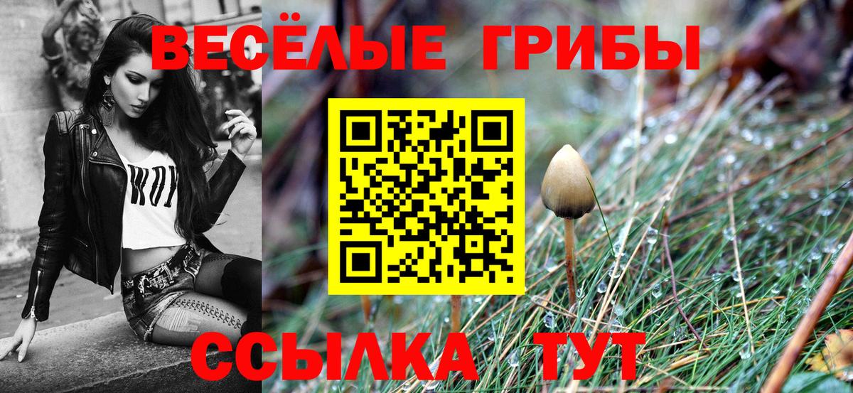 Галлюциногенные грибы ЛСД  Вход с VPN  Псилоцибиновые грибы прущие грибы  Протвино 