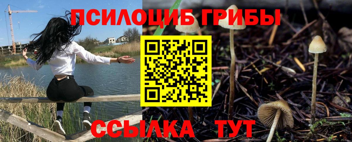 Псилоцибиновые грибы MAGIC MUSHROOMS Протвино